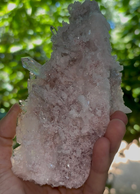 Pink Lemurian Quartz Collection # 797