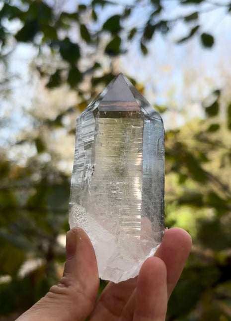 High Grade Himalayan Quartz