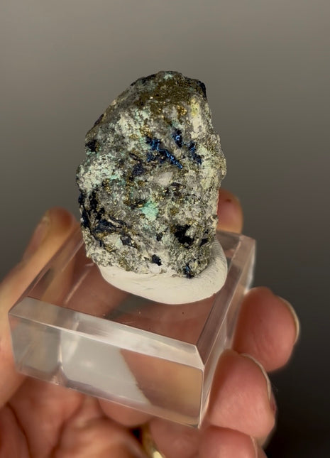 Rare Covellite from Montana Special Price 💥