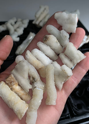 New ! White Coral Chalcedony Stalactite Lot - 23 pieces !