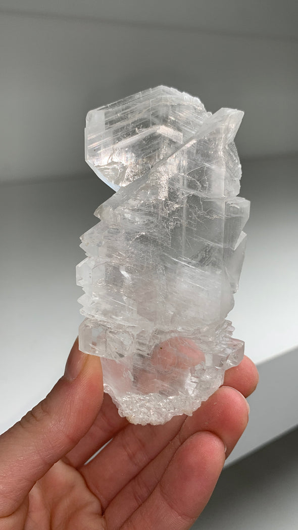 🐋 Fishtail Selenite From Mexico