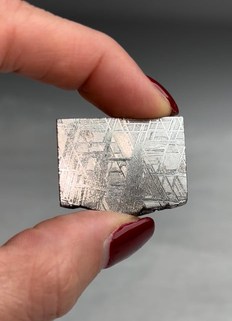 Muonionalusta Meteorite ☄️