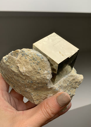 New ! Cubic Pyrite on Matrix from Navajun, Spain