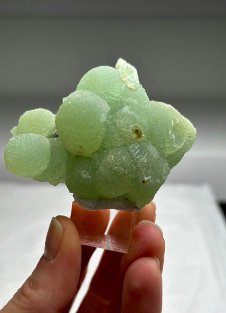 Apple Green Prehnite - From Mali