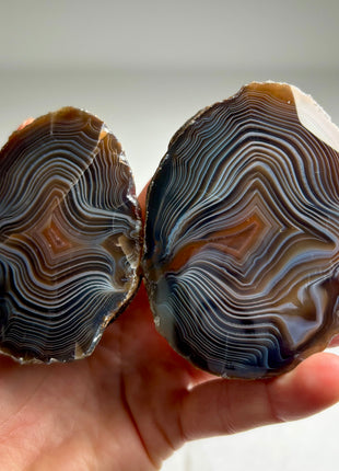 Amazing ! Sumatra Agate Pair