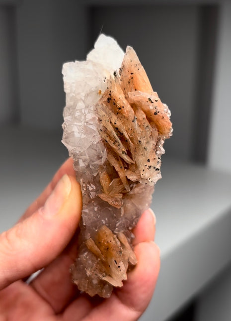 New find ! Pink Barite with Cumberland habit Quartz