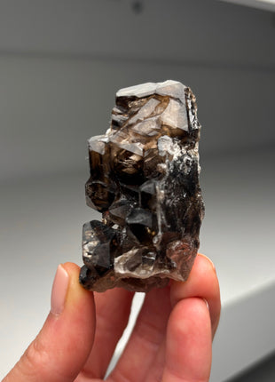 Elestial Smoky Quartz