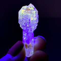 Collection image for: Firefly Scepter Quartz