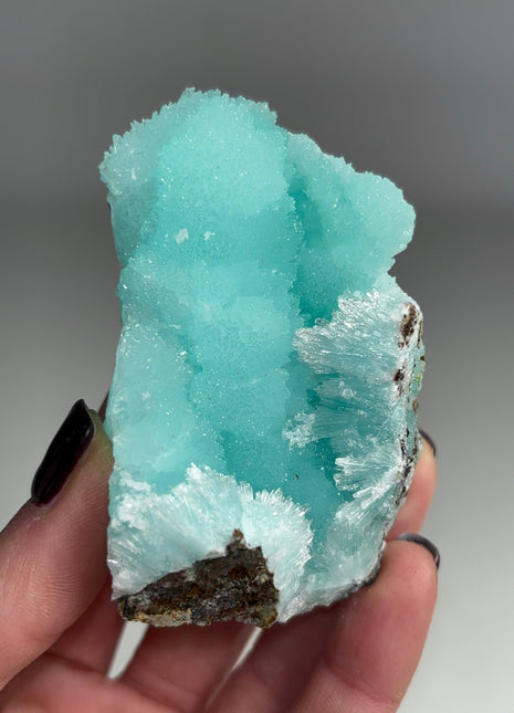 Dreamy Blue Aragonite