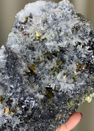 Rainbow Pyrite with Quartz - Borieva mine, Rhodope Mtns