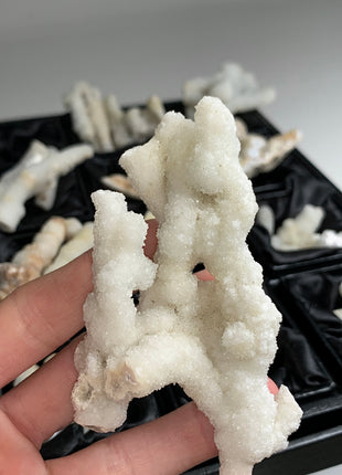 New ! White Coral Chalcedony Stalactite Lot - 23 pieces !