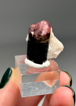 Pink Cap Tourmaline with Cleavelandite