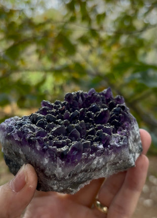 Wow ! Amethyst with Pyrite