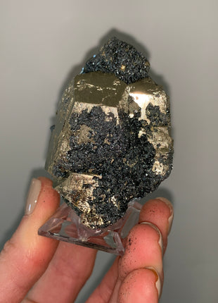 Pentadodecahedral Pyrite with Sparkly Hematite - Elba Island, Italy