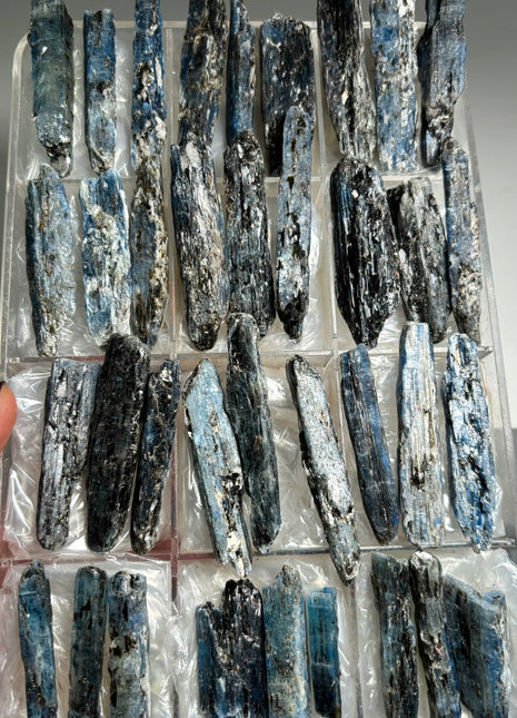 Rich Blue Kyanite with Mica - From Zambia - 36 Pieces