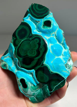 Top ! Blue Chrysocolla with Green Malachite Stalactite