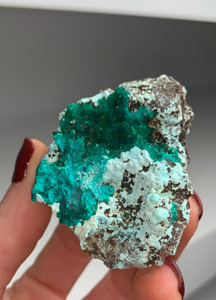 Lustrous Green Dioptase with Plancheite