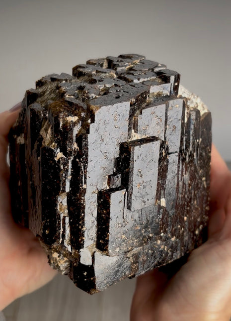 Stunning ! Dravite Tourmaline Collection # 747