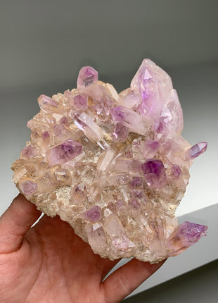 Gorgeous Amethyst Plate # PM0181