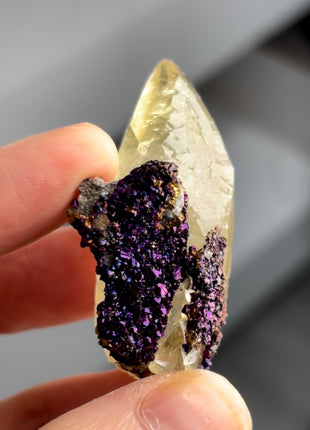 Golden Dragon Calcite with Chalcopyrite PM1352