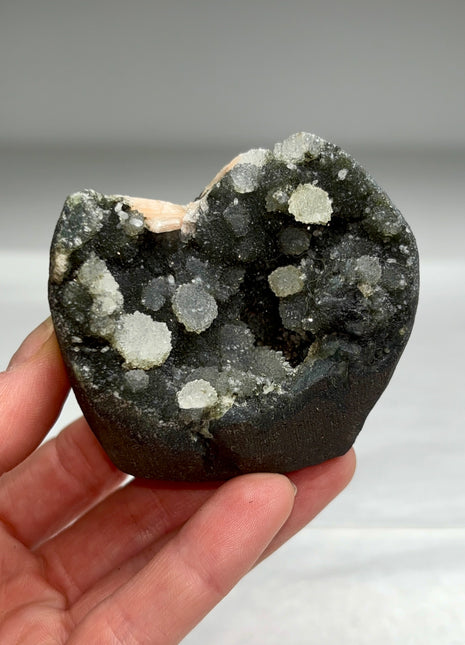 Druzy Black Chalcedony Geode