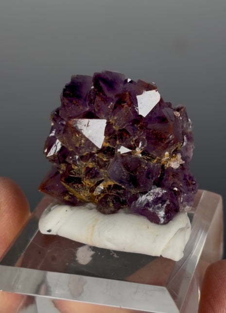 Red Amethyst Flower - From Thunder Bay, Canada