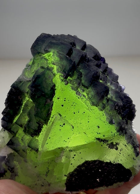 Green and Purple Fluorite PM0446