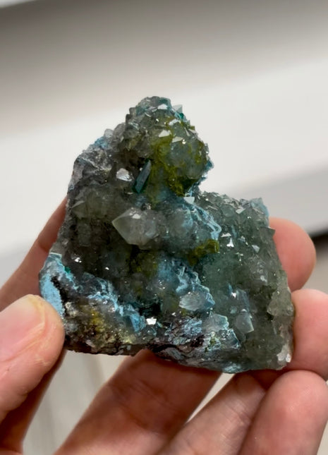 Smoky Green Quartz with Shattuckite and Dioptase Collection # 799