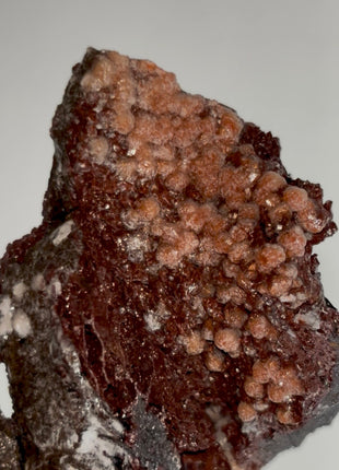 Velvety Red Hematite Specimen PM0955