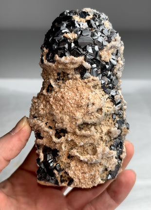 Sphalerite with Rhodocrosite and Quartz - From Trepca Mine, Kosovo KOS005