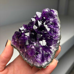 Collection image for: Amethyst from Uruguay