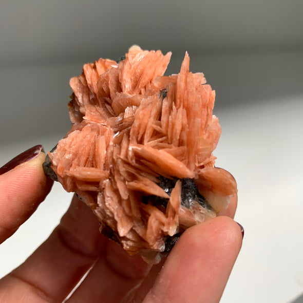 Orange Bladed Barite Flower with  Cerussite and Galena