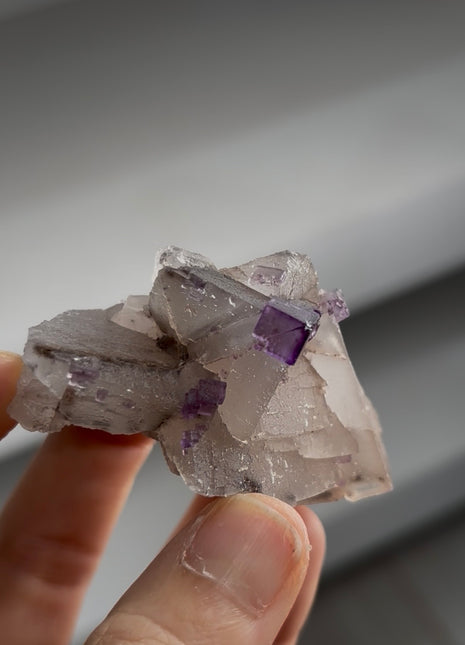 New ! Two Generation Fluorite Specimen PM1264