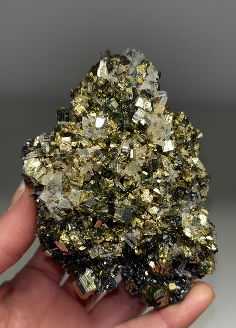 High Grade Pyrite with Quartz