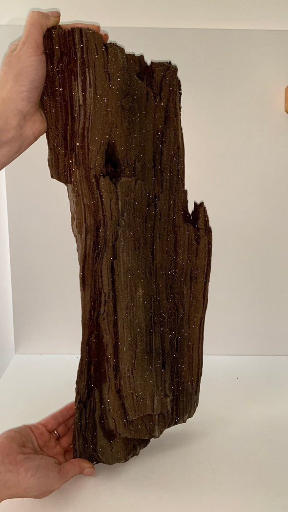Stunning and Rare Permineralized Fossil Wood with Quartz - 8.1 kgs !! From Germany 🔥🔥