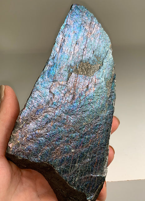 New ! Colorful Bornite Specimen 🌈 - From Lubin mine, Poland