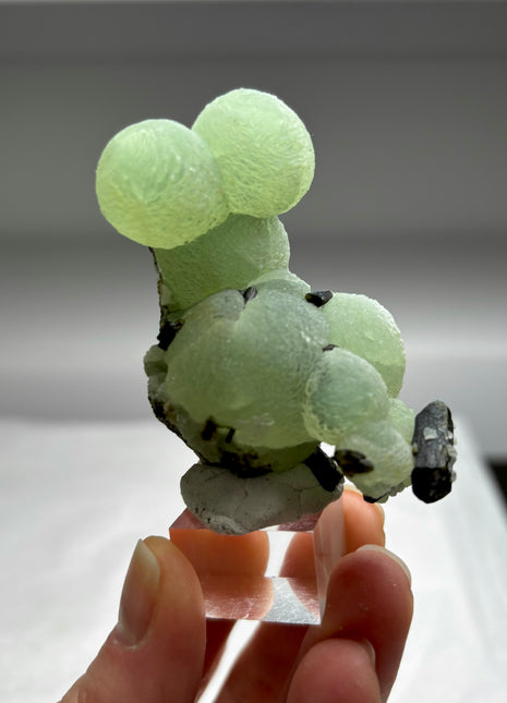 Green Prehnite with Epidote - From Mali