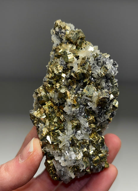 High Grade Pyrite with Quartz