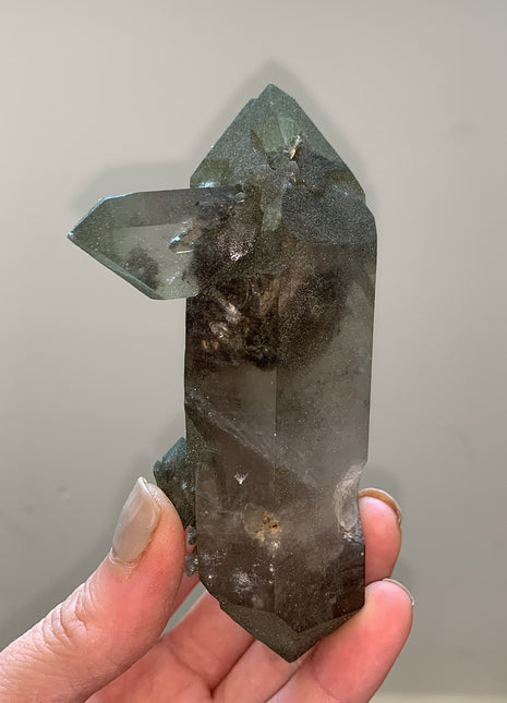 DT Smoky Quartz with Glittery Green Chlorite - Mont Blanc, France