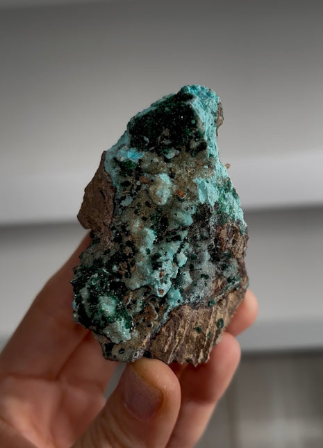Druzy Blue Chrysocolla - Tenke mine, Congo