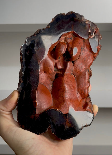 Red Fox Agate Geode from Argentina