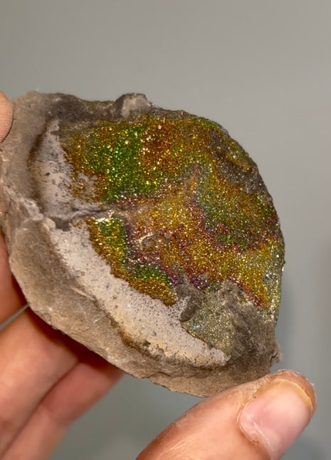 Spectropyrite Specimen from Volga River, Russia 🌈