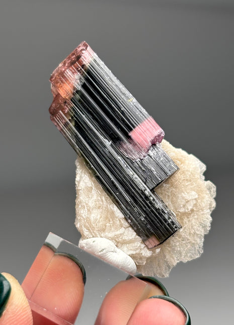 Pink Cap Tourmaline with Cleavelandite