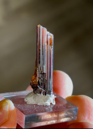 Red Rutile from Diamantina mine, 1990s find