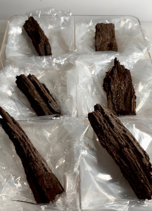 6 Pieces ! Permineralized Fossil Wood Fairy Wood Lot