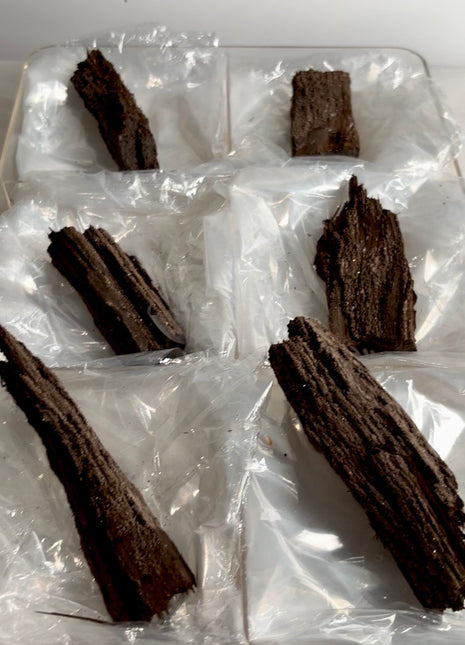 6 Pieces ! Permineralized Fossil Wood Fairy Wood Lot