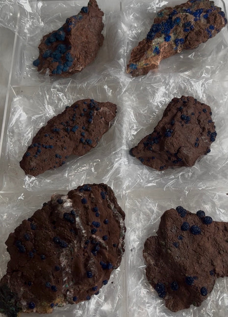 6 Piece Lot ! Rare Blueberry Azurite Specimens