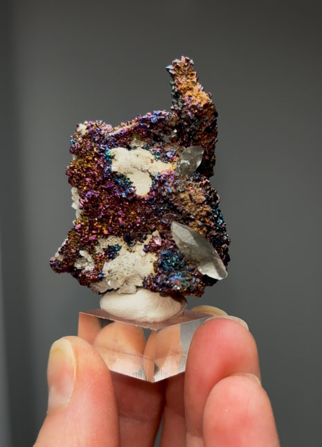 Incredible Chalcopyrite with DT Calcite, Dolomite