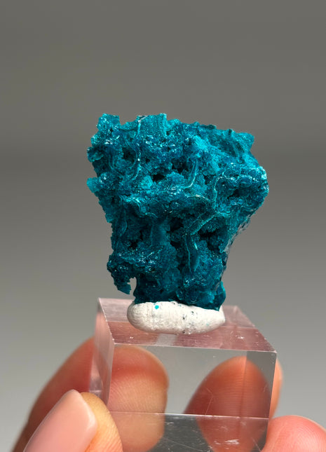 Intense Blue Flowery Chrysocolla - From Peru