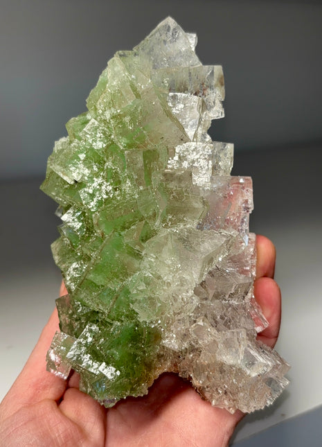 Bicolor Gemmy Cubic Halite Specimen